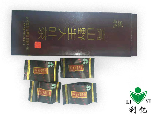 高山野生大葉茶4