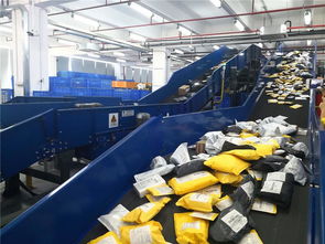 東莞制造乘跨境電商東風，貨物進出口實現(xiàn)跨越式增長