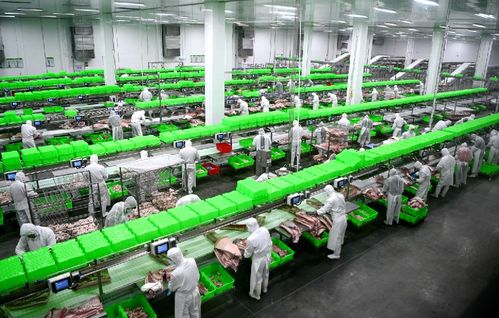 2020，南陽城鄉巨變 三起來戰略如何勁推城市出新出彩